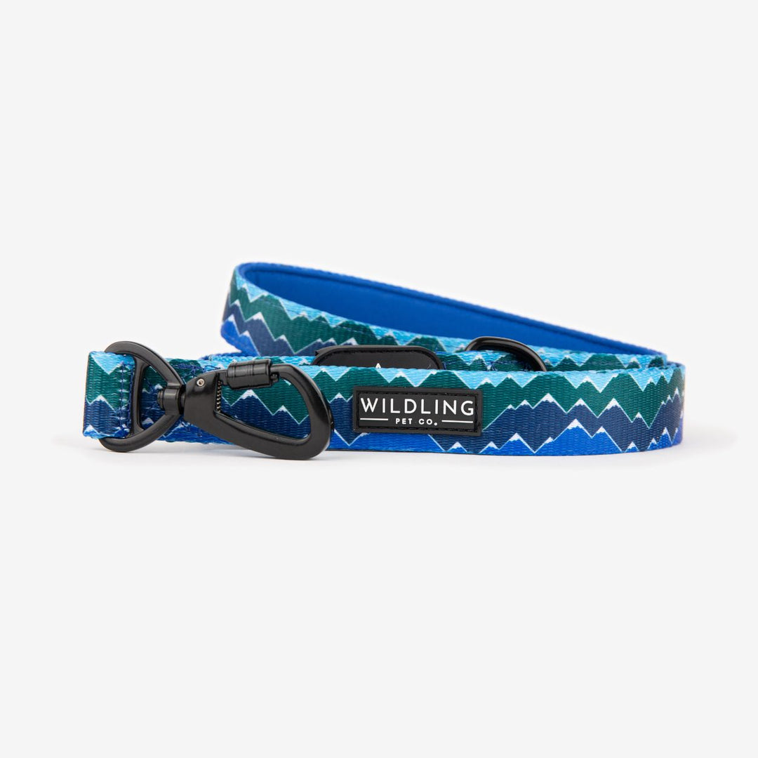 Adventure Dog Leash | Inca