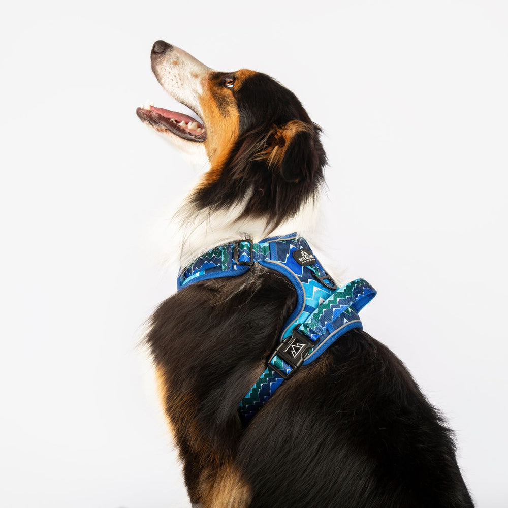 No-Pull Adventure Dog Harness | Inca