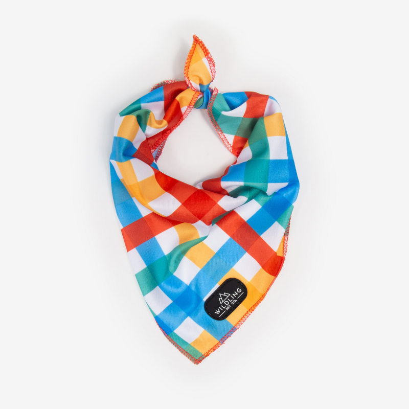 Petco sales dog bandanas