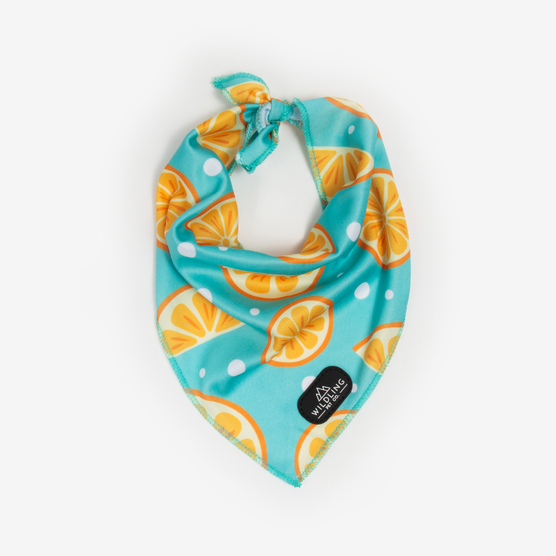 Zest Dog Bandana