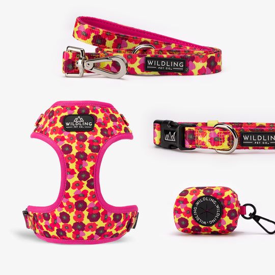 Dune Bloom Dog Harness