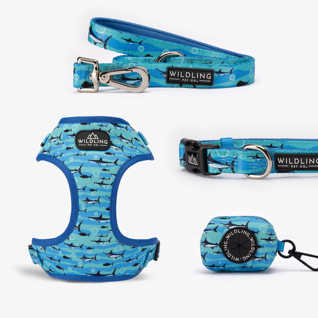 Reef Shadow Dog Harness