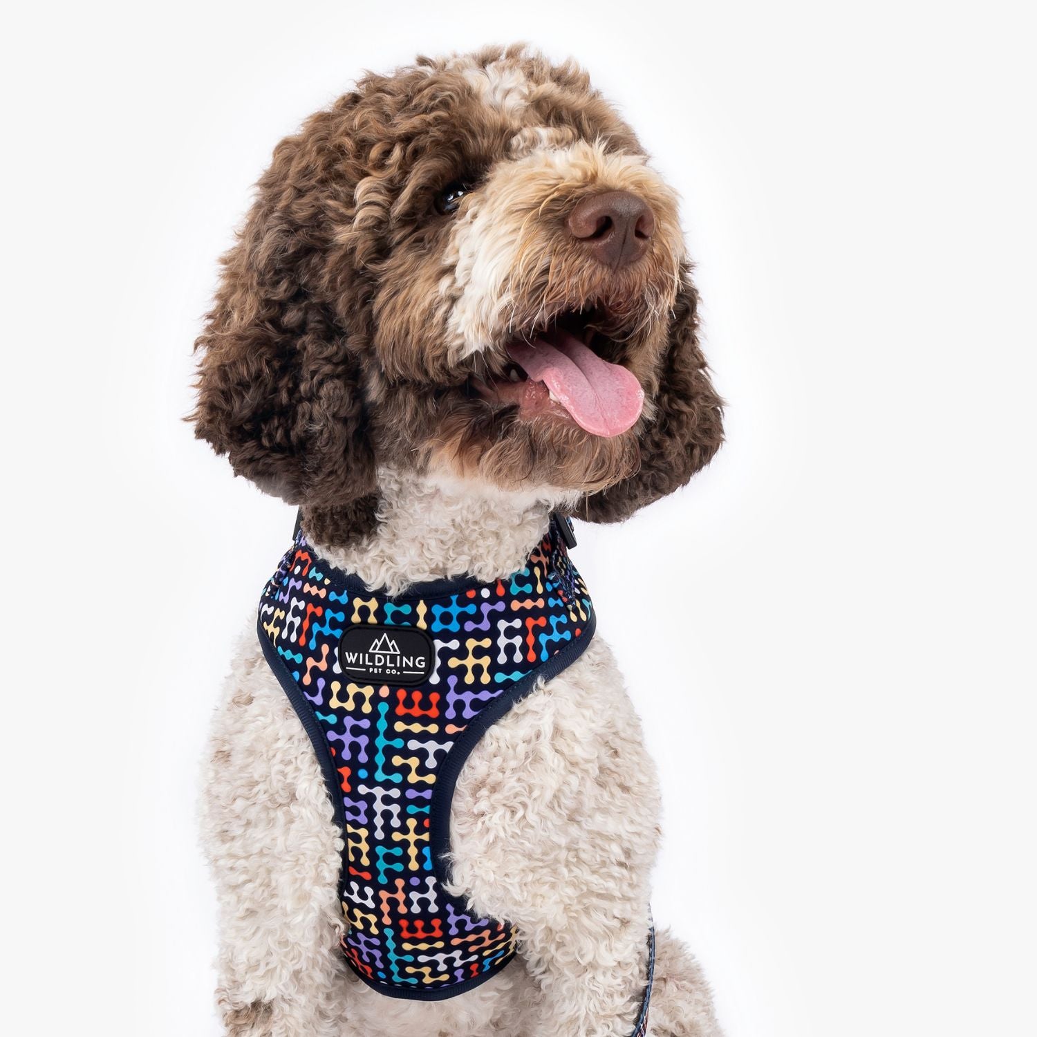 Bobs for dogs harness best sale