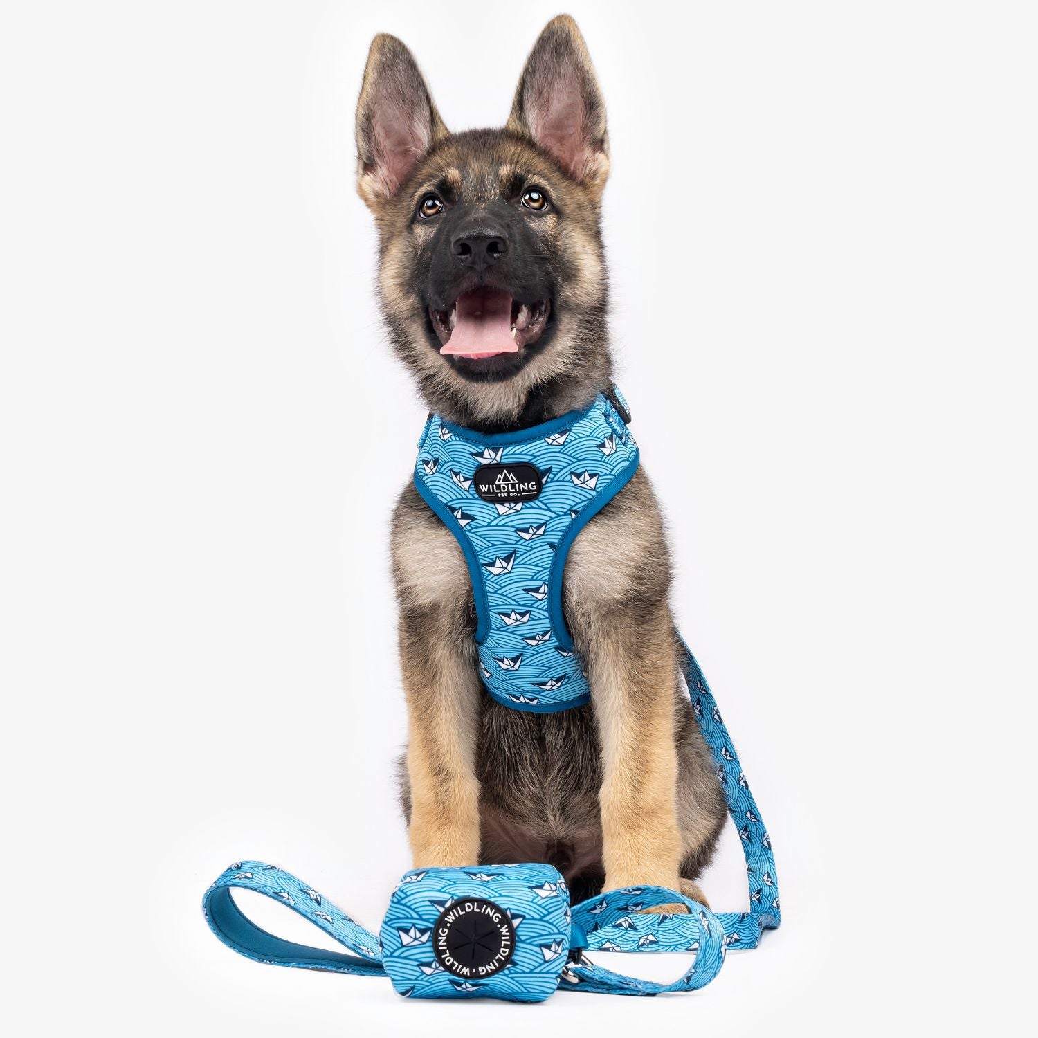 Petco shop dog accessories