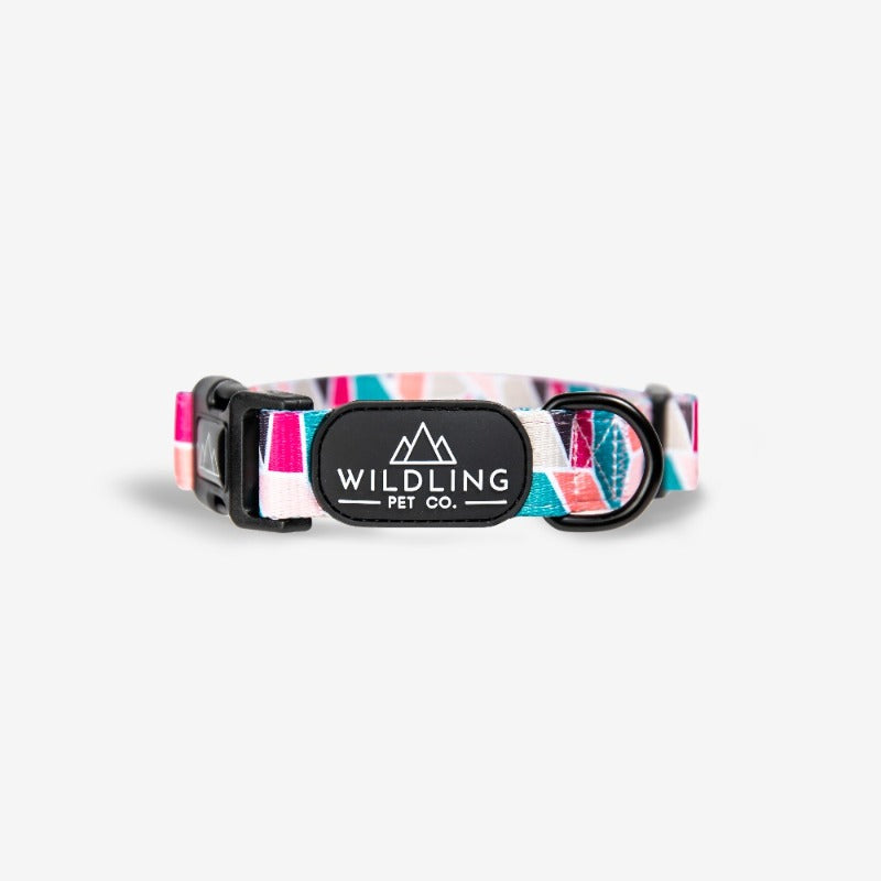 Acute Dog Collar - Wildling Pet Co.