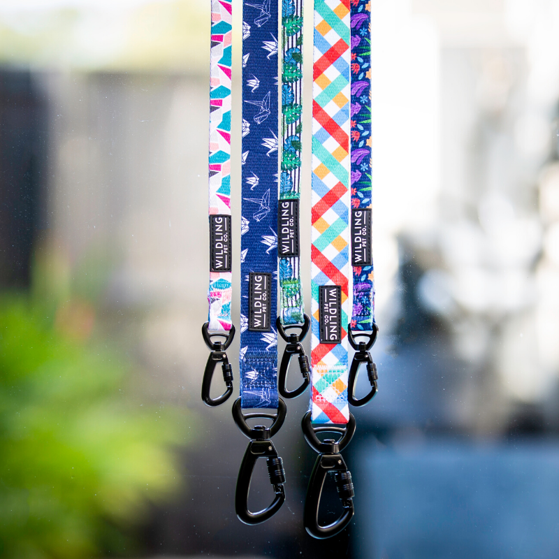 Acute Dog Leash - Wildling Pet Co.