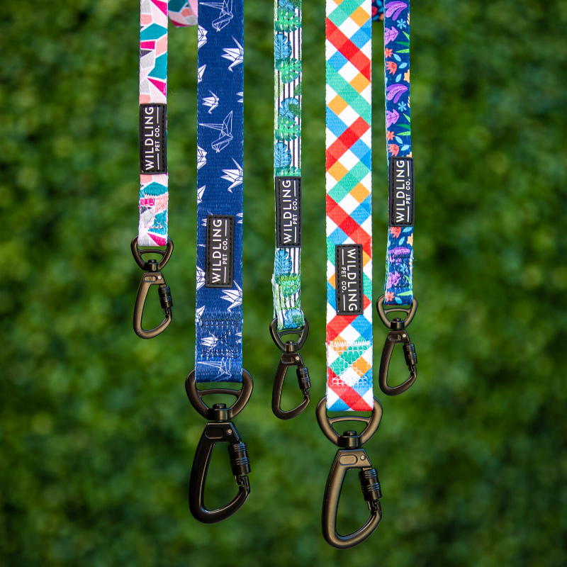 Acute Dog Leash - Wildling Pet Co.
