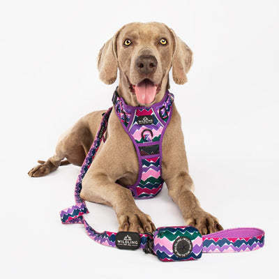 No-Pull Adventure Dog Harness | Inca