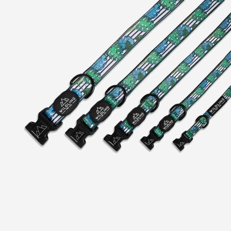 Aloha Dog Collar