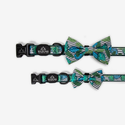 Aloha Dog Collar