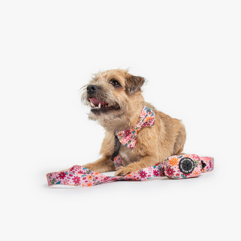 Bloomin Dog Leash - Wildling Pet Co.