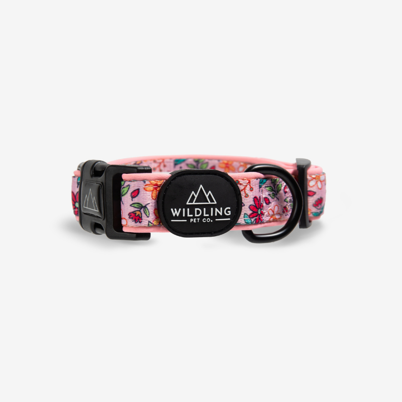 Bloomin Dog Collar - Wildling Pet Co.