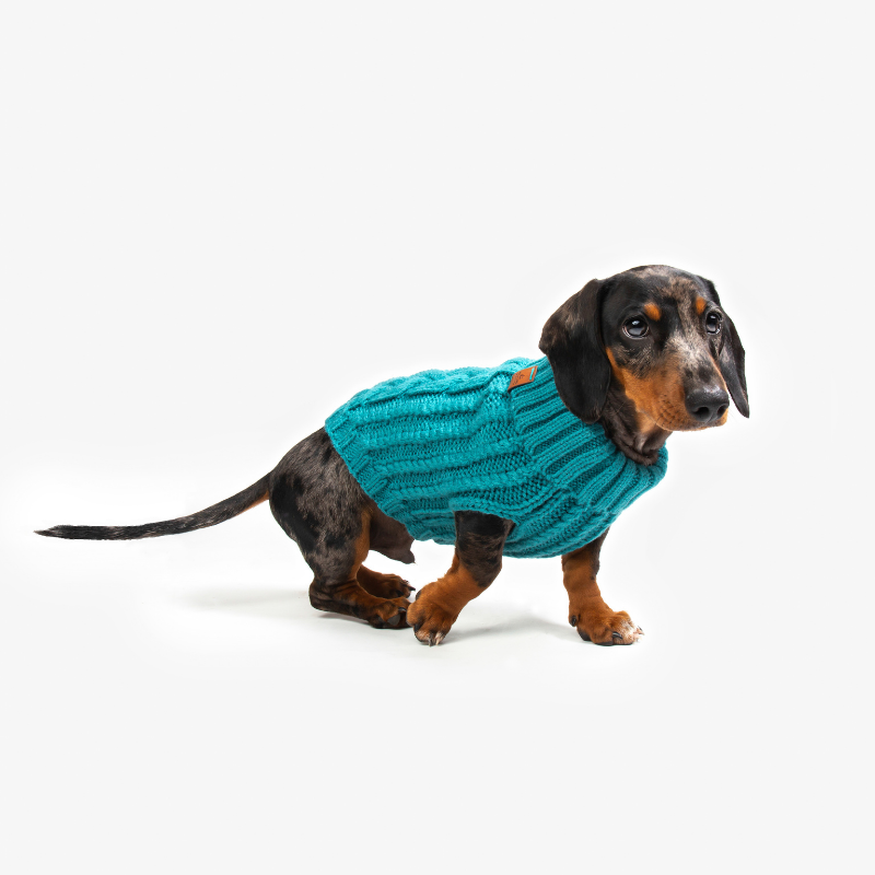 Cable Knit Dog Jumper | Lagoon Teal