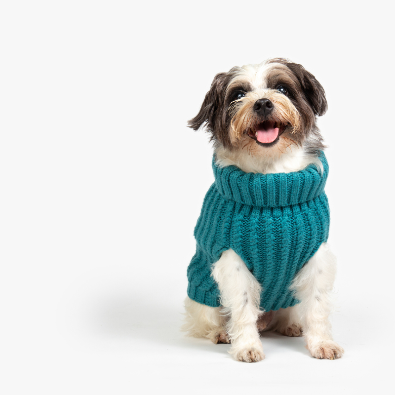 Cable Knit Dog Jumper | Lagoon Teal