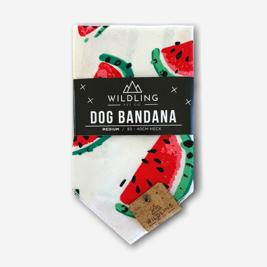Pippin Dog Bandana - Wildling Pet Co.