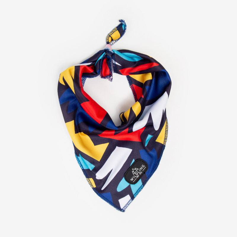 Petco best sale dog scarf