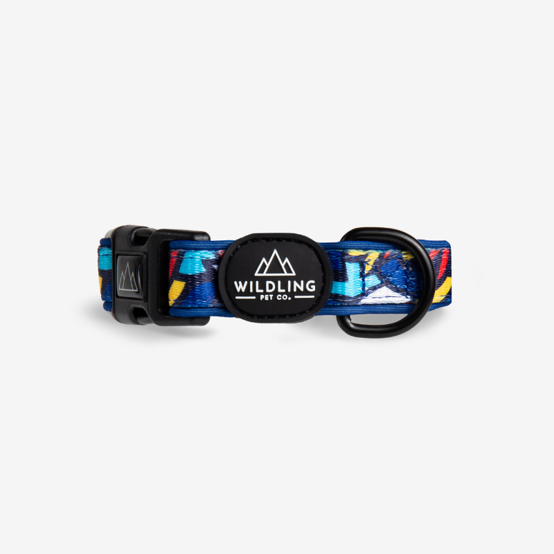 Fiesta Dog Collar