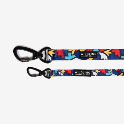 Fiesta Dog Leash