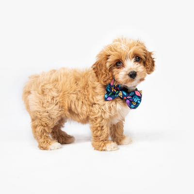 Flora Bow Tie