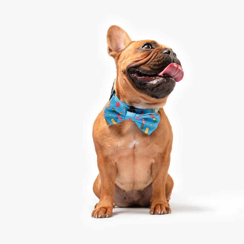 Icepop Bow Tie