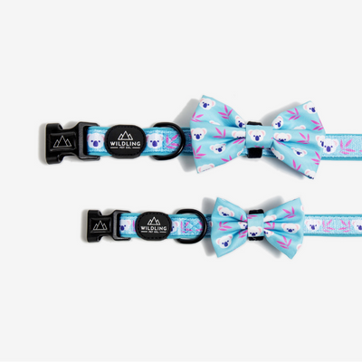 Koala Bow Tie - Wildling Pet Co.