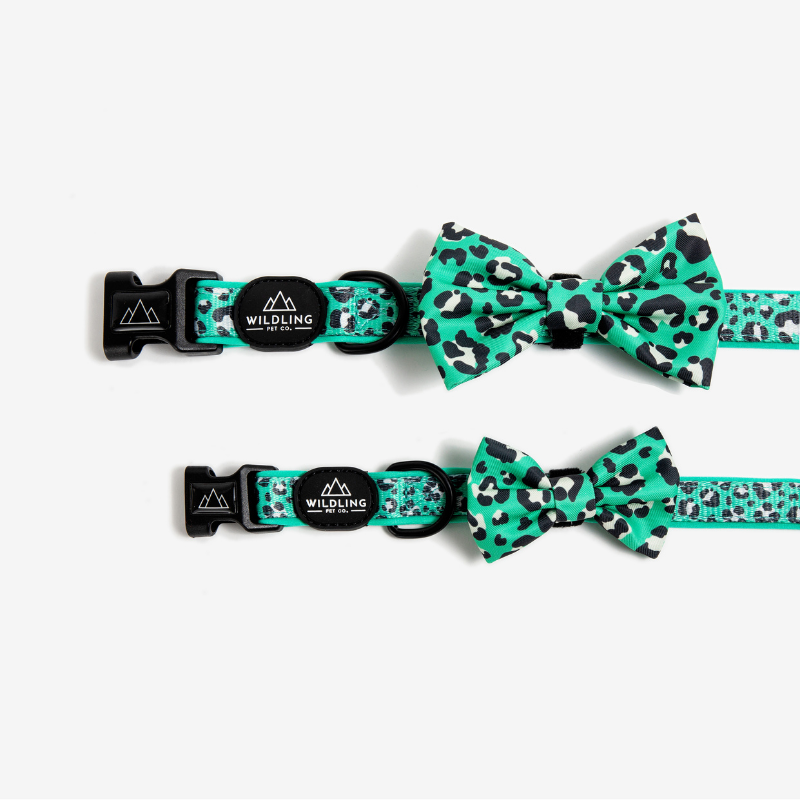 Leap Bow Tie - Wildling Pet Co.
