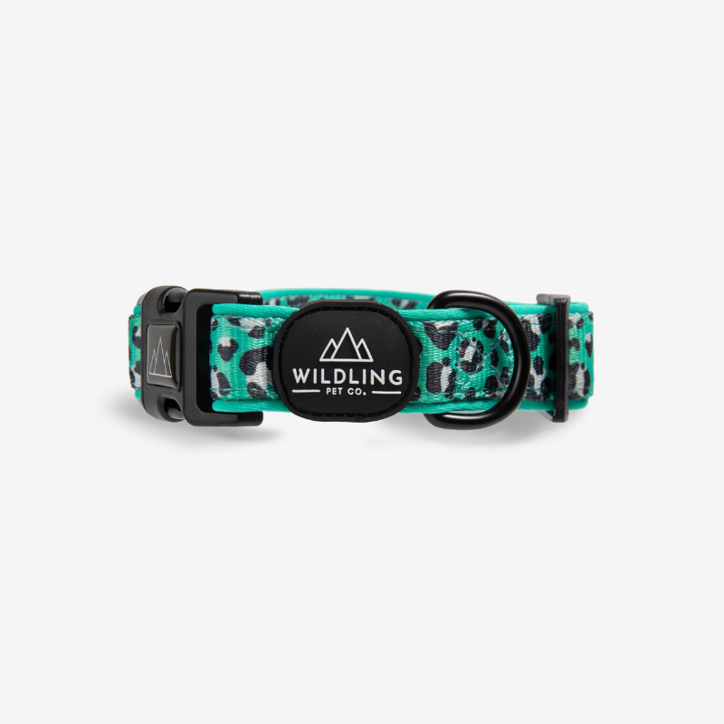 Leap Dog Collar - Wildling Pet Co.