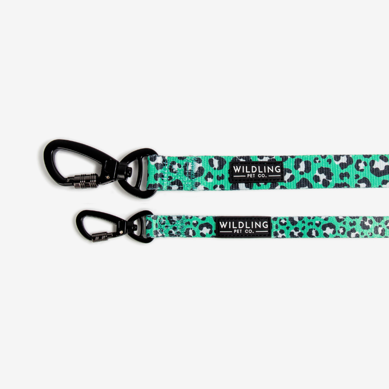 Leap Dog Leash - Wildling Pet Co.