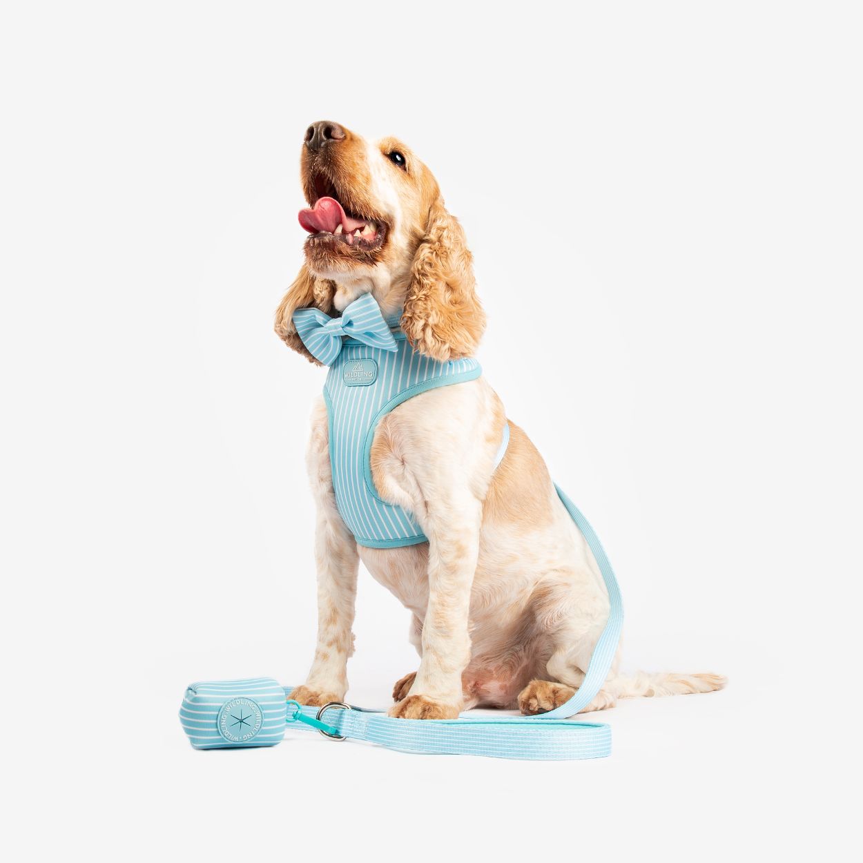 Clouds Dog Leash