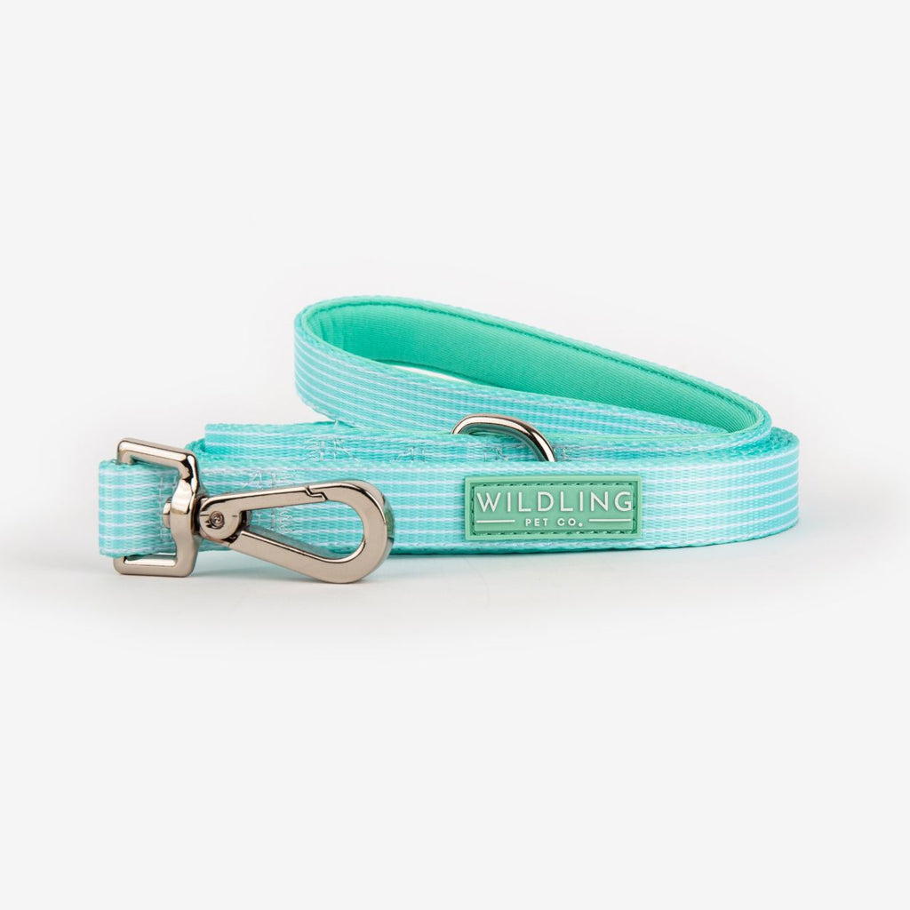 Minty Dog Leash