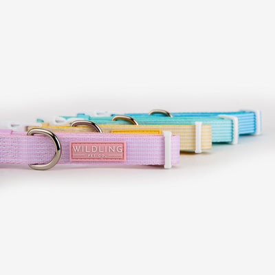 Honeycomb Dog Collar
