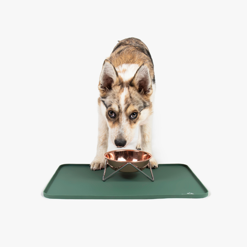Silicone feeding top mat dog