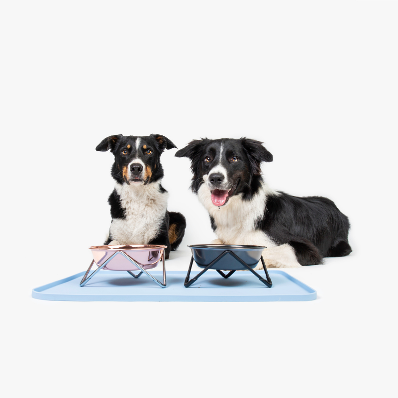 Silicone sales dog mats