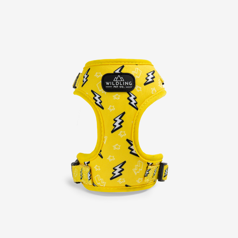 Strike Dog Harness - Wildling Pet Co.
