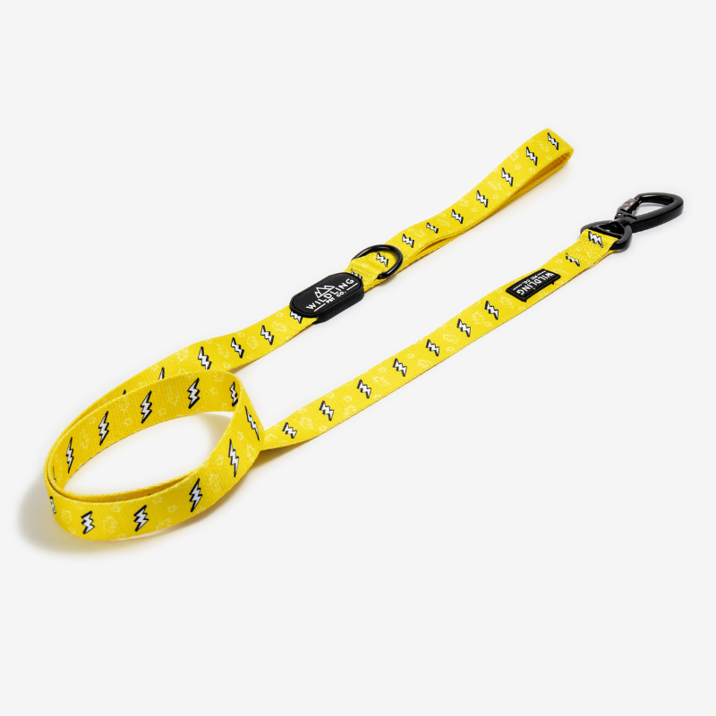 Wildling Pet Co. Strike Dog Leash