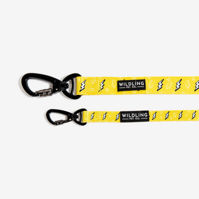 Strike Dog Leash - Wildling Pet Co.