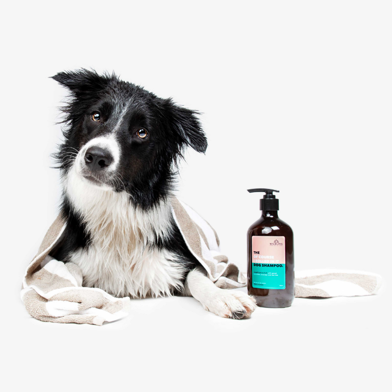 The Dog Shampoo - Wildling Pet Co.