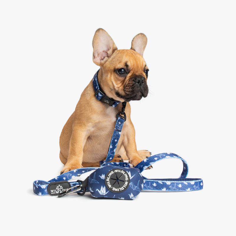 Tokyo Dog Leash - Wildling Pet Co.