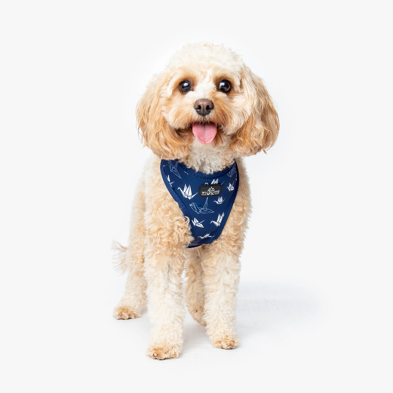Tokyo Dog Harness - Wildling Pet Co.