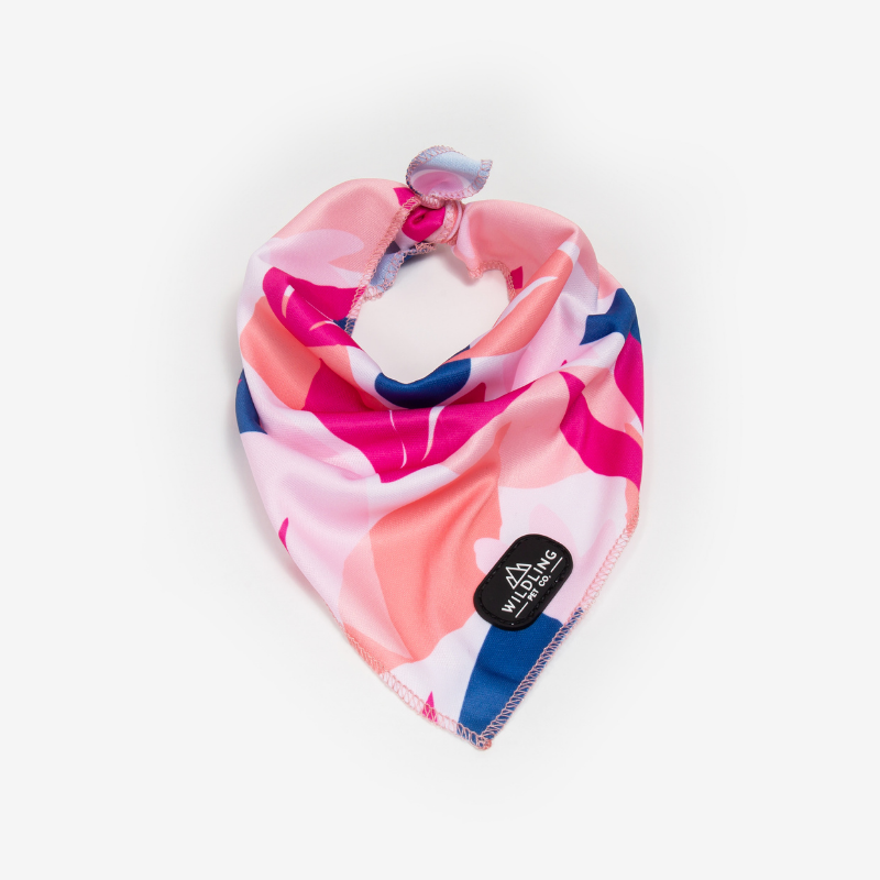 Petco online dog scarf