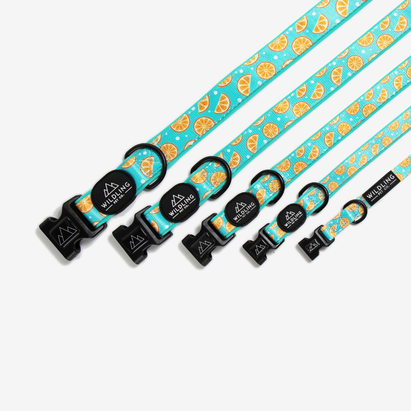 Zest Dog Collar - Wildling Pet Co.
