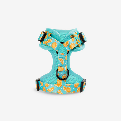 Zest Dog Harness - Wildling Pet Co.