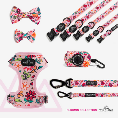 Bloomin Dog Collar - Wildling Pet Co.
