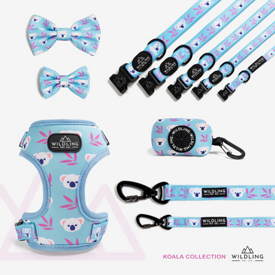 Koala Dog Leash - Wildling Pet Co.