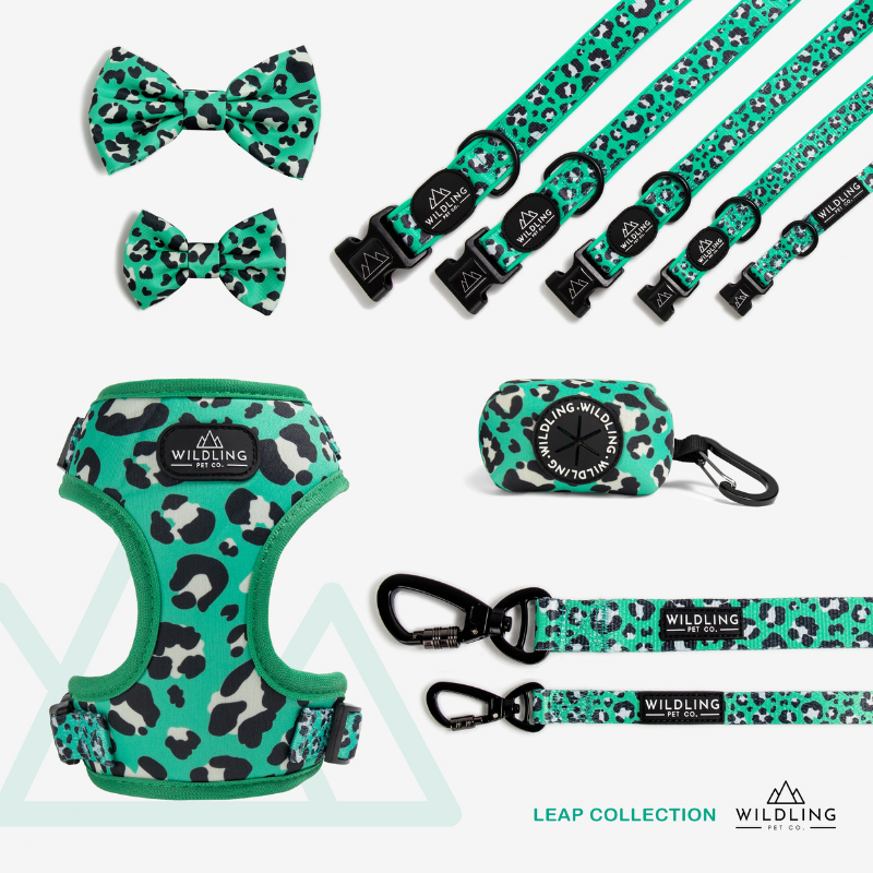 Leap Bow Tie - Wildling Pet Co.