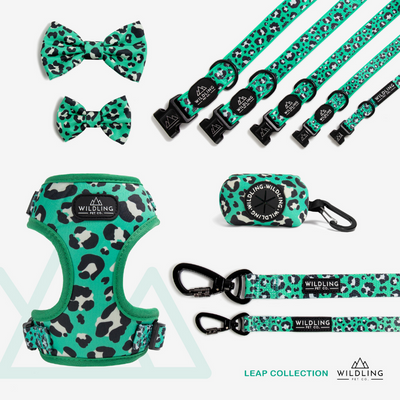 Leap Dog Collar - Wildling Pet Co.