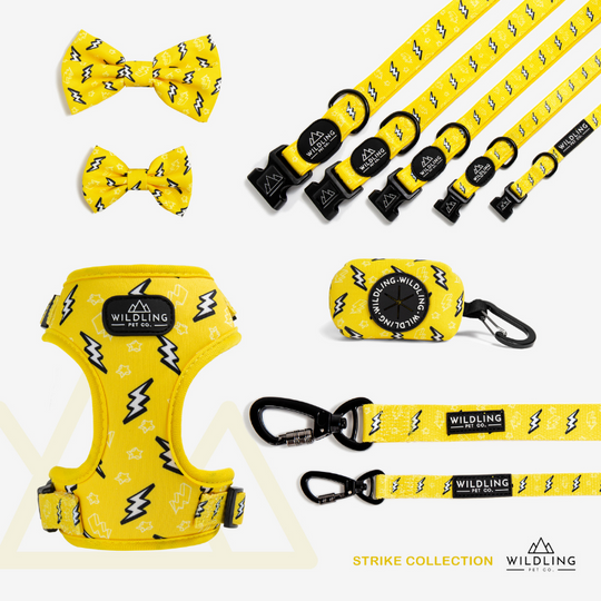 Strike Dog Collar - Wildling Pet Co.