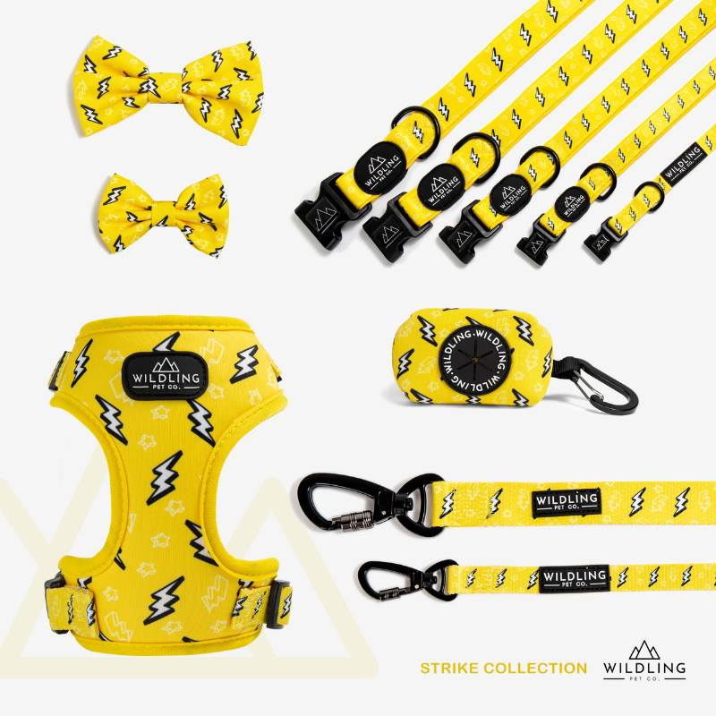 Strike Dog Collar - Wildling Pet Co.