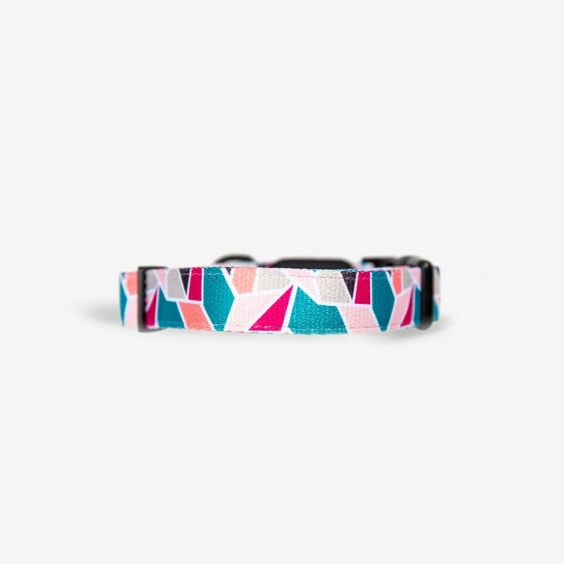 Acute Dog Collar - Wildling Pet Co.